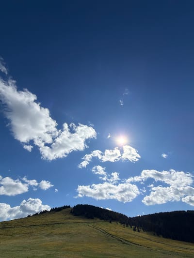 The image shows a vast, clear blue sky filled with scattered white cumulus clouds. The sun is prominently visible, casting a bright glare and lens flare. Below the sky, a grassy hillside slopes upwards, dotted with patches of yellow and green vegetation. A dark line of evergreen trees crowns the crest of the hill, creating a silhouette against the sky. The overall scene is a natural landscape, likely a rural or mountainous area, under a bright sunny day. There are no people or man-made structures visible in the image, aside from faint tracks on the hillside. The location is not Gela, Bulgaria, but rather a natural landscape.