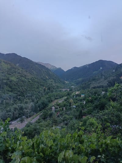 A high-angle, wide shot captures a valley in Koklaisai, Kazakhstan, under an overcast sky. Lush green trees cover the slopes of the surrounding mountains, which recede into the distance. The valley floor is dotted with scattered houses and a winding road. In the foreground, the blurred leaves of grapevines obscure the lower portion of the image. The overall impression is one of a tranquil, natural landscape with signs of human habitation.