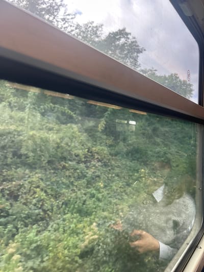 The image displays a view from a train window in Noisy-le-Sec, France. The perspective is from inside the train, looking outwards. The window's light brown frame and a dark rubber seal are visible at the top and partially along the sides. The upper section of the window reveals an overcast sky and the silhouettes of tree canopies. The dominant external scene consists of dense, verdant foliage, comprising various shades of green shrubs and small trees, suggesting a vegetated embankment or wooded area. Reflected within the lower-right portion of the window glass is the indistinct upper torso of a person, clad in a light-grey sweater over a striped collared shirt. Their right hand holds a dark, rectangular object, possibly a mobile device. A circular red prohibition symbol is discernible in the upper right corner of the window. The scene indicates the train is in motion, traversing an outdoor environment.