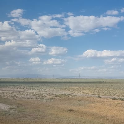 The image captures a wide, flat landscape under a blue sky dotted with fluffy white clouds. In the foreground, dry, golden-brown grasses dominate, with patches of sparser, lighter-colored vegetation. A dirt path or road is visible, running diagonally from the bottom left corner. Further into the middle ground, the terrain is covered in similar low-lying, arid vegetation. In the distance, a faint line of hills or mountains is visible on the horizon. Several utility poles with wires are scattered across the middle and far distance. A settlement or industrial area, appearing as a cluster of light-colored buildings or structures, is also discernible on the horizon. The scene depicts an open, rural, or semi-arid environment, typical of a steppe or plain. There are no people or animals visible in the image. The location is specified as Temir, Kazakhstan, suggesting a region characterized by such expansive, dry landscapes.