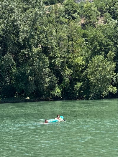 The image shows a person in the water from a high vantage point, looking down. The person is wearing a blue and white swimsuit and appears to be floating or swimming on their back. The water is a vibrant green and appears calm, with some ripples on the surface. To the left of the water is a dense, green forest that covers a hillside. The trees are lush and full, suggesting it is summer or late spring. The lighting indicates it is daytime, likely midday, with the sun casting shadows. The scene appears to be in a natural setting, possibly a lake or a wide river. No text is visible in the image. The setting is identified as Zvornik, Bosnia and Herzegovina.