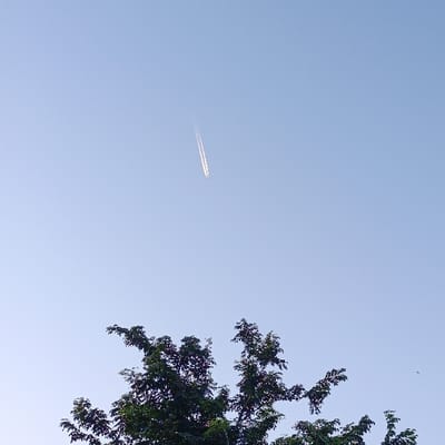 The image shows a clear blue sky with a single white contrail from a plane flying overhead. The contrail is angled diagonally from the upper left to lower right. The image is taken from a ground level perspective looking up at the sky. In the bottom of the image, a tree with green foliage is partially visible. The coordinates -7.698, 114.03 correspond to a location in the city of Kecamatan Panji, Indonesia.