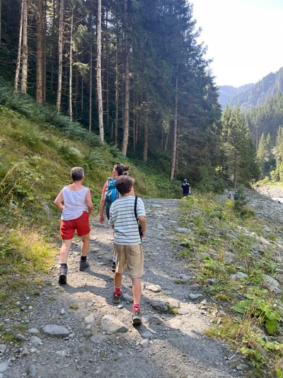 A group of four individuals is observed hiking on a gravel and dirt path in a valley near Reitlehen, Austria, under clear daytime conditions. Three individuals are in the foreground, facing away from the viewer, moving generally from the lower left towards the upper right.

The closest individual to the viewer is a juvenile male with light brown hair, wearing a horizontal striped short-sleeve shirt (green and white), tan or khaki shorts, red socks, and hiking shoes. He carries a dark strap diagonally across his torso, possibly a bag. To his left, slightly ahead, is an adult female wearing a white sleeveless top, red shorts, and dark hiking shoes. Her hair is short and appears grey or light brown. Further ahead and slightly to the right of the juvenile is another adult, possibly female, with dark hair tied back, wearing a red top and carrying a blue hiking backpack.

In the mid-ground, a fourth individual, dressed in dark clothing, is visible further along the path, also moving away from the viewer.

The path is unpaved, consisting of small stones, gravel, and dirt. To the immediate left of the path, the terrain slopes steeply upwards, covered with dense green vegetation, including ferns and tall trees (conifers), suggesting a forest. To the right of the path, the ground slopes downwards, featuring scattered rocks, sparse vegetation, and a visible body of water, likely a river or stream, running parallel to the path. In the background, forested mountain slopes rise on both sides of the valley, with a bright sky visible above the distant peaks. Shadows from the trees and individuals are cast on the path, indicating sunlight from the upper right.