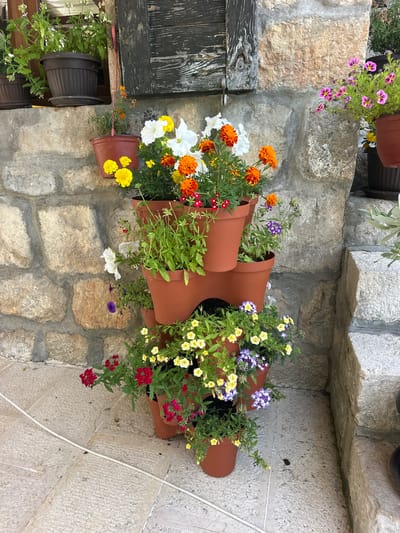 This media file captures a charming scene of potted flowers cascading down a textured stone wall. The main subjects are the vibrant floral arrangements, featuring a mix of orange marigolds, white petunias, yellow blossoms, and small purple and red flowers. These are contained within several brown plastic pots stacked in a tiered fashion, creating a vertical garden effect. The background consists of rough-hewn stone blocks, suggesting an outdoor setting, possibly a rustic facade or a garden wall.
The scene is static, with no people or overt activity taking place, focusing solely on the decorative display of the flowers and their mounting. The lighting appears natural, hinting at daytime, and the overall impression is one of serene beauty and natural ornamentation. The location context of Rijeka Crnojevića, Montenegro, suggests a Mediterranean or Balkan influence, which aligns with the rustic stone and the choice of flowering plants. There is no visible text in the image.
