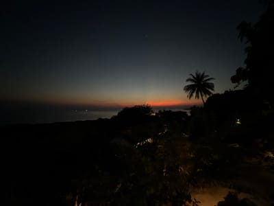 The image depicts a serene twilight scene over the ocean in Karimunjawa, Indonesia. The sky is a gradient of deep navy blue transitioning into softer grays and finally a warm band of orange and pink near the horizon, indicating sunset or sunrise. A single, bright star is visible in the dark expanse of the sky.
Silhouetted against this colorful sky are lush tropical trees and a distinctive palm tree. The foreground is dominated by dark foliage, suggesting a vantage point from a higher elevation, possibly a balcony or hillside. The ocean stretches out to the horizon, with faint lights suggesting distant boats or coastal settlements.
The overall mood is peaceful and tranquil, capturing the quiet beauty of the natural world at dusk. The lack of artificial light in the foreground and the natural hues of the sky evoke a sense of calm and natural beauty. The image appears to be taken with a mobile phone given the quality and composition. There is no visible text in the image.