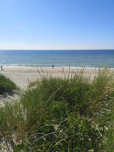 This image depicts a bright, sunny day at a beach in Lesnoy, Russia. The foreground is dominated by tall, green dune grasses and other low-lying green vegetation, suggesting a natural, undeveloped coastline. The sand is a pale beige, with gentle ripples indicating wind patterns or the receding tide.
In the middle ground, a calm, blue ocean stretches to the horizon under a clear, pale blue sky. Gentle waves lap the shore, creating a line of white foam. Two individuals are visible on the beach. On the left, a person in a white outfit is walking towards the water. On the right, a person in a red outfit is walking along the shoreline. The presence of these figures suggests a leisurely day for beachgoers.
The time of day appears to be mid-morning or early afternoon, given the bright sunlight and the long shadows cast by the dune grasses. The weather is clear and pleasant, ideal for a beach outing. The scene evokes a sense of tranquility and natural beauty. There is no visible text in the image.