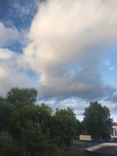 This media file depicts a view of the sky and trees from an elevated perspective in Shumerlya, Russia. The scene is dominated by a dramatic sky with a mixture of bright white and dark gray clouds, suggesting a transition in weather. Patches of blue sky are visible between the clouds. Several small dark silhouettes of birds are captured in flight against the clouds.
Below the sky, the tops of lush green trees fill the lower portion of the frame. On the right side of the image, the corner of a multi-story building with white and red sections is visible, along with a smaller yellow and red utility building and a section of a fenced outdoor sports area, possibly an ice rink. A streetlamp is also visible near the utility building.
The lighting suggests it is either early morning or late afternoon, given the contrast between bright and shadowed clouds. There is no visible text in the image. The overall impression is one of a natural scene with hints of human habitation, possibly a park or residential area. The presence of the birds in flight adds a dynamic element to the otherwise static landscape.