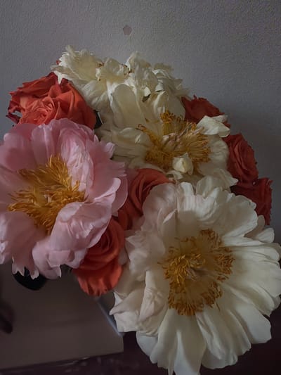 This media file is a close-up, overhead shot of a bouquet of flowers. The bouquet features a mix of large, fluffy peonies and smaller roses. The peonies are in shades of white, cream, and a soft pink, with prominent yellow stamens. The roses are a vibrant coral or burnt orange color. The flowers are arranged densely, with their petals overlapping. The background is a textured, light gray surface on the left and a dark, out-of-focus area on the right, suggesting an indoor setting. There is no visible text. The lighting is somewhat dim, casting shadows and highlighting the textures of the petals. The overall mood is one of natural beauty and a touch of elegance. The location context is Riudoms, Spain.