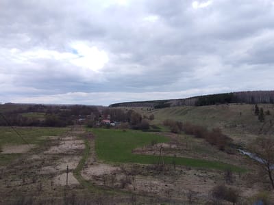 A wide-angle landscape photograph captures a valley under a heavily clouded sky in Znamenka, Russia. The terrain features rolling hills and slopes, characteristic of a temperate region, likely in early spring or late autumn given the sparse vegetation.

In the foreground, dry, light brown grass and bare deciduous bushes cover the ground, crisscrossed by a dirt path and wooden utility poles carrying power lines. Towards the middle ground, pockets of vibrant green grass emerge amidst the drier patches, suggesting new growth. A small cluster of rural houses with varied roof colors, including red and blue, is nestled within the valley. A narrow, winding stream or river, reflecting the overcast sky, is visible in the lower right portion of the valley.

The background is dominated by a long, undulating ridge line, densely forested with a mix of dark coniferous trees and lighter-barked deciduous trees, possibly birch, creating a distinct boundary against the sky. The overcast conditions create a soft, diffused light across the entire scene, lending a somewhat muted palette of greens, browns, and grays. The time of day appears to be daytime, likely late morning or afternoon due to the even lighting.

No people or specific activities are observable, conveying a sense of quietude and vastness. No visible text is present in the image.