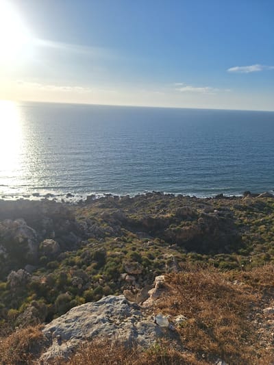 The image captures a coastal landscape under a clear blue sky with the sun shining brightly from the upper left corner. The sea is a deep blue, with a band of sunlight reflecting off its surface. The coastline is rocky and sparsely vegetated, with low-lying shrubs and dry grasses. In the foreground, a large rock formation is visible, with dry, brown vegetation growing around it. The scene suggests a rugged, natural environment.