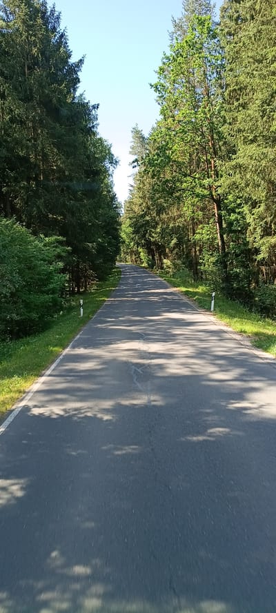 The image captures a road winding through a dense forest. The perspective is from a high angle, looking down onto the asphalt road. Tall, green trees line both sides of the road, their leaves forming a canopy that casts dappled shadows across the pavement. Sunlight filters through the trees, creating a dynamic play of light and shadow on the road's surface.

On the left side of the road, the forest appears thick and varied, with both evergreen and deciduous trees. The ground is covered in grass and undergrowth. On the right side, the forest is also dense, with a clear roadside verge of green grass. A white and black striped marker post is visible on the edge of the road, suggesting it is a rural or natural setting.

The lighting indicates it is daytime, likely late morning or early afternoon, given the bright sunshine and the length of the shadows. The sky is a clear, light blue, suggesting fair weather. The overall scene evokes a sense of tranquility and natural beauty. The image is oriented vertically, with the road stretching from the top left to the bottom right. There is no visible text in the image. The scene is likely located in a forested area in or around Vilseck, Germany, as indicated by the location context.