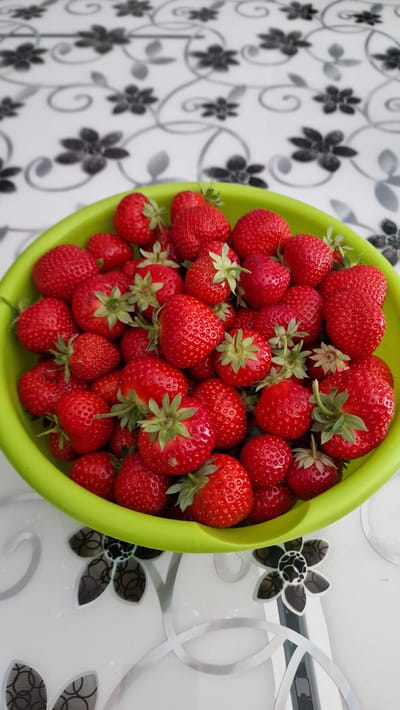 A bright green plastic bowl is filled with ripe, red strawberries. The bowl is placed on a white table with a black and grey floral pattern. The image is a close-up, overhead shot of the strawberries, with the table pattern visible in the foreground and background. There are no people or actions depicted in the image. The scene appears to be indoors, possibly in a kitchen or dining area. The overall impression is one of freshness and abundance.