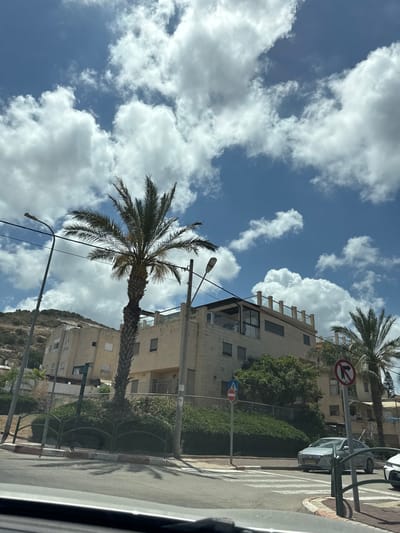 This image, taken from within a vehicle, shows a street scene in Tirat HaCarmel, Israel, under a bright, cloudy sky. In the foreground, a paved road with pedestrian crosswalk markings is visible, with the bottom edge of the vehicle's dashboard or windshield frame intruding into the lower part of the frame. To the left, a tall palm tree stands prominently against the sky. Behind it, a multi-story building constructed with light-colored blocks is partially visible, with a hillside covered in vegetation rising behind it. To the right of the palm tree is another, more modern building with balconies and railings, also constructed with light-colored blocks. A second, shorter palm tree is situated to the right of this building. Roadside elements include a lamppost on the left, and on the right, a traffic signal pole with two signs: a blue square sign with a white pedestrian symbol, and a circular red and white sign indicating "no left turn." A silver sedan is stopped at the crosswalk, and a portion of a white vehicle is visible to its right. Green bushes and fencing line the area between the sidewalk and the buildings. The overall impression is a sunny day in a residential urban environment.