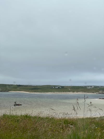 The image depicts a view of a coastline in Bunbeg, Ireland, under an overcast sky. In the foreground, tall, dry grass and reeds are prominent. Beyond the grass, a body of water, likely the Atlantic Ocean, is visible. A small, partially submerged shipwreck lies in the water. In the mid-ground, a sandy beach and green, rolling hills are present, dotted with several white houses. The distant horizon is characterized by more hills and the faint outline of structures. The overall atmosphere is subdued due to the cloudy weather.