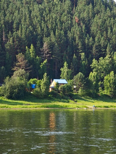 The image shows a serene natural landscape. In the foreground, a wide, calm river occupies the lower half of the frame. The water's surface is a deep green, reflecting the surrounding trees and sky, with subtle ripples creating texture. A small section of the riverbank is visible on the left side, with a few floating pieces of debris.
The middle ground features a lush green grassy bank that slopes upwards towards a dense forest. A small, yellow house with a bright blue roof is nestled among the trees on the bank, partially obscured by foliage. There appears to be another structure with a blue roof behind the yellow house, suggesting a small settlement or property. A few bare trees stand out against the denser green of the forest.
The background is dominated by a massive, dark green pine forest that covers a steep hillside. The trees are densely packed, creating a textured wall of evergreen foliage. Sunlight filters through the canopy in places, highlighting some areas with a lighter green.
On the riverbank on the right side of the image, a solitary figure in a blue garment is visible near the water's edge, appearing to engage in some activity, possibly fishing or wading. Several white objects, possibly birds, are also present on the bank near the figure.
The overall impression is one of peaceful seclusion and natural beauty, likely a rural or remote location. Given the context of Pristan', Russia, this scene likely depicts a dacha or a rural residence situated along a river in a forested area.