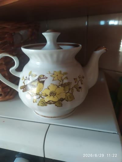 A white ceramic teapot with a gold trim and a bird and flower design is displayed on a white surface. The teapot has a lid, a handle, and a spout. The background appears to be a shelf with woven baskets on the left and a tiled wall on the right. The scene is brightly lit, and a date and time stamp, "2026/6/29 11:22," is visible in the bottom right corner, suggesting the image was taken indoors in Skala-Podilska, Ukraine.