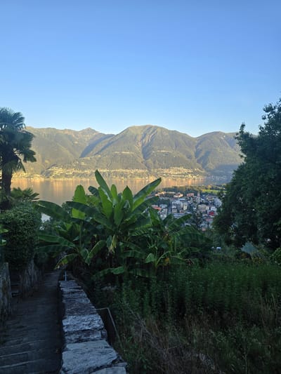 This is a wide-angle, eye-level shot of a scenic view from Orselina, Switzerland. In the foreground, a stone staircase descends to the left, bordered by a rough stone wall and lush green vegetation. Immediately to the right of the stairs, a dense growth of plants and trees fills the lower portion of the frame. Prominently featured in the mid-ground are several large banana plants with broad leaves.
Beyond the vegetation, a wide body of water, likely a lake, stretches across the image. Along the far shore of the lake, a densely populated town with buildings of varying heights and colors is visible, nestled at the base of rolling, tree-covered mountains. The mountains dominate the background, their slopes appearing green and textured, with some evidence of scattered buildings. The sky is a clear, pale blue, suggesting it is either early morning or late afternoon. No people or animals are visible in the frame. The overall impression is one of natural beauty combined with a picturesque human settlement.