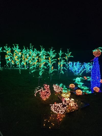 Outdoor Christmas lights create a festive display. A tall green tree illuminated with yellow lights stands prominently. Above, smaller lit trees in shades of turquoise and blue, adorned with orange spheres, ascend. To the right, triangular structures with white lights, red spheres, and lattice frames contribute to the ambiance. The lights are arranged against a dark night sky, with green grass visible at the bottom of the frame.