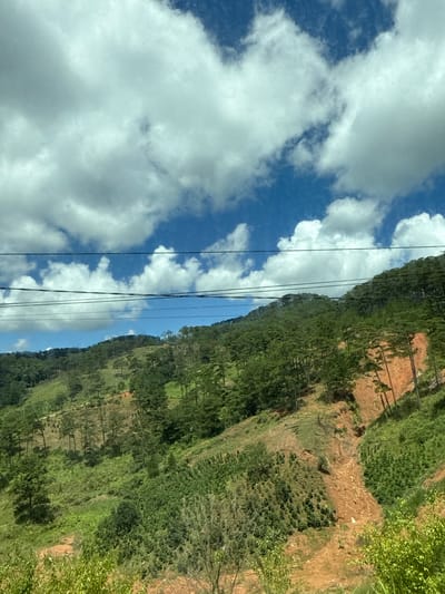 This image depicts a lush, green mountainside in Tu Póh, Vietnam, under a bright blue sky filled with fluffy white clouds. The terrain is characterized by steep slopes covered in dense vegetation, including numerous tall, slender trees that give the impression of a pine forest. Patches of cultivated land, possibly coffee or tea plantations, are visible interspersed with the natural growth, indicated by rows of smaller, bushy plants. A significant feature of the mountainside is a scar of exposed reddish-brown earth, suggesting a recent landslide or erosion. Several power lines stretch horizontally across the upper portion of the image, partially obscuring the sky and the top of the mountain range. The overall scene conveys a sense of natural beauty and agricultural activity in a hilly region.
