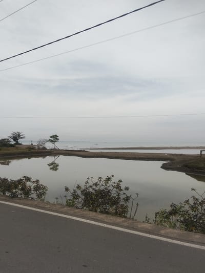 The image shows a serene landscape in Lancok, Indonesia. In the foreground, a paved road runs along the left side of the frame, bordered by a concrete barrier and lush vegetation. Beyond the road and barrier, a calm body of water reflects the overcast sky and the surrounding environment.
The water appears to be a pond or a small bay. On the far bank of this body of water, the land rises slightly and features more vegetation. A few scattered trees dot the landscape, with one prominent, slender tree with green leaves standing in the middle ground. Its reflection is clearly visible in the still water. Further back, a wider expanse of water, likely the sea, stretches to the horizon. The sky is a pale, cloudy grey, suggesting an overcast day.
In the distance, across the sea, a faint outline of land or structures can be seen. There are no people or animals visible in the image. The overall atmosphere is peaceful and natural, capturing a quiet moment in this Indonesian coastal area. The scene is characterized by its muted colors and the gentle interplay of water and land.