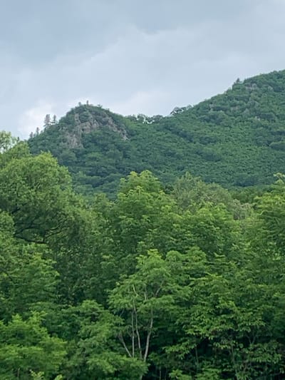 The image shows a lush, green mountain covered in dense trees under a cloudy sky. In the foreground, the tops of more trees are visible, with some bare branches protruding. On the rocky peak of the mountain, a few thin trees can be seen, along with what appear to be small structures or figures. The overall scene depicts a natural landscape, likely a forest-covered mountain range. The location in Ustinovka, Russia, is not visually identifiable from the image itself.