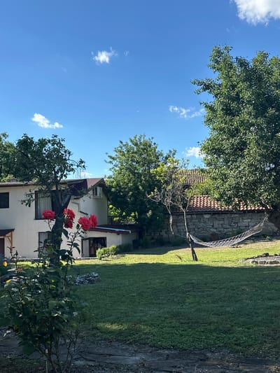 This image depicts a tranquil backyard scene in the city of Madara, Bulgaria. A cream-colored house with brown trim is visible on the left, featuring multiple windows and an open doorway. In front of the house, a rose bush displays several vibrant red roses. To the right of the house, a stone wall with a terracotta-tiled roof forms the background. A white net hammock is suspended between two trees in front of the stone wall, suggesting a place for relaxation. The yard is covered in lush green grass, with mature trees providing shade. The sky above is a clear blue with scattered white clouds, indicating fair weather. The overall atmosphere of the image is peaceful and idyllic, showcasing a charming rural setting.