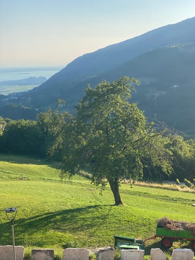This media file captures a scenic view from Caprino Veronese, Italy. The dominant subject is a lush green landscape with a large tree in the foreground. The tree's branches are heavy with green leaves, suggesting a warm, sunny day. In the background, a majestic mountain range rises, shrouded in a soft, atmospheric haze. The sky transitions from a clear, bright blue on the left to a hazy, lighter blue towards the horizon.
On the right side of the image, a bright green tractor trailer filled with dry, brown debris is parked on the grassy slope. The trailer has red wheels. A portion of a white stone structure is visible in the far right corner, suggesting a boundary or a building. The ground is covered in a thick, vibrant green grass, which is casting long, distinct shadows, indicating the sun is at a moderate angle in the sky, likely late afternoon.
The overall scene evokes a peaceful, pastoral atmosphere, typical of rural Italian countryside. There is no visible text in the image.