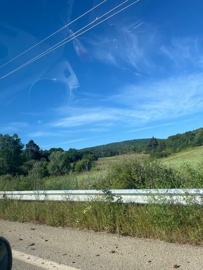 The image depicts a roadside view in Kato Nevrokopi, Greece. The foreground features a paved road with scattered small brown debris. To the right of the road, a metal guardrail runs horizontally, bordered by tall green grass and some smaller white wildflowers. Beyond the guardrail, a gently sloping green field rises towards a dense forest that covers the lower slopes of a large, tree-covered hill. The sky above is a clear, bright blue with wispy white clouds. Reflections of what appear to be power lines and parts of a vehicle's interior are visible on the upper portion of the image, suggesting the photo was taken from inside a car.