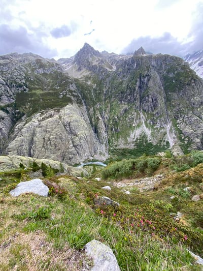 This image depicts a mountainous landscape near Innertkirchen, Switzerland, under an overcast sky. The scene is dominated by steep, rugged rock faces and peaks, typical of an alpine environment.

The upper portion of the image shows a sky largely covered by dense, grey-white clouds, with patches of brighter sky visible. Several jagged mountain peaks rise towards the sky, exhibiting exposed light-grey rock. Some higher elevations display small remnants of snow or ice.

In the mid-ground, a deep valley is visible, carved by geological activity. The mountain slopes are characterized by massive, fractured rock formations, with varying degrees of green vegetation clinging to less steep areas and fissures. A distinct waterfall cascades down a rock face on the right side of the image, feeding into a light turquoise-blue river or stream that winds through the valley floor.

The foreground presents a rocky, uneven terrain covered with a mix of green and drier, brownish-yellow grasses. Numerous large, grey boulders are scattered across this area. Patches of dense, low-growing shrubs are present, interspersed with small evergreen trees. Bright pink flowers, likely alpine rhododendrons, are visible in clusters among the shrubs and grasses, alongside some smaller yellow blooms.

No individuals, animals, or man-made structures are visible within the frame, indicating a natural, uninhabited mountain setting.