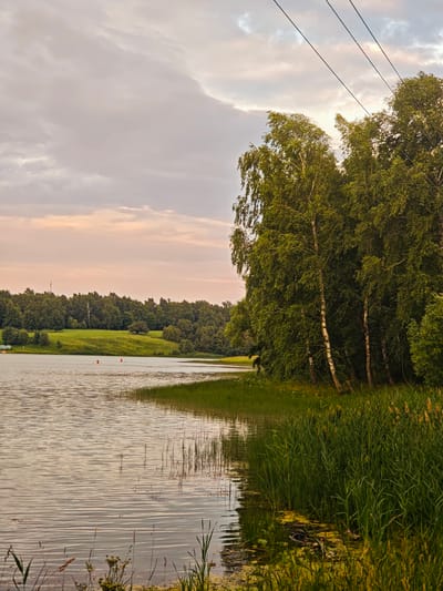 The image shows a serene natural scene at a lake, likely in or near the village of Синьково, Russia. The water reflects the soft, overcast sky with hues of pink and grey. Along the right bank, a dense line of green trees, including several birch trees with their distinctive white bark, creates a rich backdrop. In the foreground on the right, tall reeds and grasses grow along the water's edge. The lake itself appears calm, with gentle ripples on its surface. In the middle distance, a grassy hill dotted with trees rises from the far bank. Two figures on red and blue paddleboards are visible in the water on the left side of the lake. Overhead, a set of dark power lines cuts diagonally across the sky, a subtle sign of human infrastructure within the natural landscape. The overall atmosphere is peaceful and suggestive of a late afternoon or early evening.