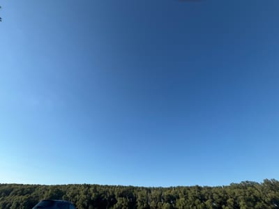 The image shows a clear blue sky above a dense line of trees. In the lower left corner, a dark-colored SUV is partially visible, with its roof rack discernible. The trees form a natural barrier, suggesting a wooded area. There are no people visible in the image, and no specific actions or interactions are taking place. The scene appears to be an outdoor, natural setting, possibly on the outskirts of a city like Vadul lui Vodă, Moldova, given the presence of a vehicle and a treeline that could border a park or natural reserve. The lighting suggests it is daytime, with the sun likely positioned high in the sky.