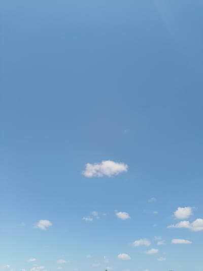 A bright, clear blue sky occupies the majority of the image, with only a few scattered white clouds. One prominent, cumulus cloud is positioned in the center of the frame, appearing fluffy and isolated against the expanse of blue. Below it, a cluster of smaller, wispy clouds are visible near the bottom of the image. The horizon line is not visible, suggesting the photo was taken looking upwards. The image does not depict any elements that can be used to identify a specific location within the city of Nicorești, Romania.