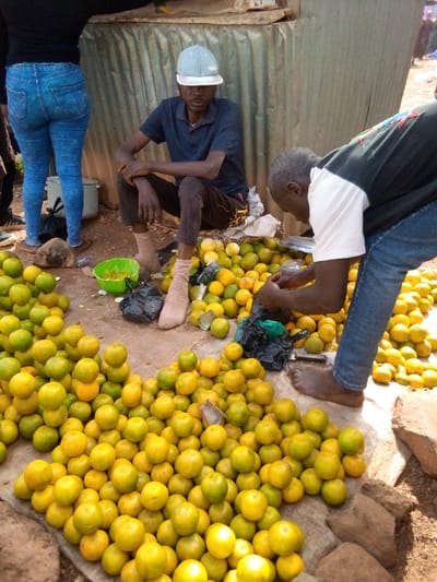 This image from a personal memory collection depicts a bustling, informal outdoor market scene, likely during daylight hours. The primary focus is on a large quantity of small, round citrus fruits, which appear to be oranges or tangerines, piled in numerous mounds across the foreground. These fruits exhibit a range of colors from vibrant yellow and orange to areas with green tinges, suggesting varying degrees of ripeness. They are placed directly on the earth, with some resting on a light-colored tarp or fabric.
There are three people visible in the frame. In the center, a man with dark skin is seated low to the ground, possibly on a small stool. He wears a short-sleeved dark blue collared shirt, dark trousers, and notable light beige or off-white socks that cover his feet and ankles. A light blue baseball cap with a white brim is worn backward on his head. His hands are clasped together between his knees, and he appears to be observing the activity around him with a neutral expression.
To the left and partially cropped, is the lower body of another person, likely a woman, seen from behind. She is wearing tight-fitting light blue denim jeans and a dark top. Her feet are clad in flat, open-toed sandals.
On the right side of the image, another man with dark skin is actively engaged in handling the fruit. He is bent over, facing away from the viewer, dressed in a dark t-shirt with a colorful design on the back and blue jeans. His feet are bare on the dirt ground as he sorts or prepares the fruit. Near his hands and the seated man's feet, a bright green plastic bowl contains what seems to be discarded fruit peelings or pulp, and several black plastic bags are present, likely for packaging the fruit.
The background features a tall, corrugated metal wall, indicating a simple, makeshift stall or structure common in open-air markets. The ground is unpaved, consisting of compacted dirt mixed with some small stones and debris. The overall impression is one of everyday commerce and an active, if informal, marketplace. No text is visible in the image.