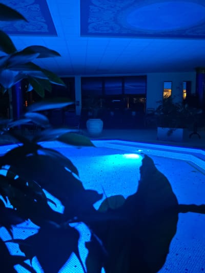 A dimly lit indoor swimming pool area is illuminated by bright blue lights. In the foreground, dark green leaves of a plant cast shadows across the tiled pool floor. The pool itself is a vibrant blue, with a spotlight illuminating a section of the water. In the background, there are potted plants, chairs, and tables, suggesting a lounge or seating area. The ceiling is decorated with ornate patterns. The scene appears to be at a spa or hotel in Schwangau, Germany, given the style and atmosphere.