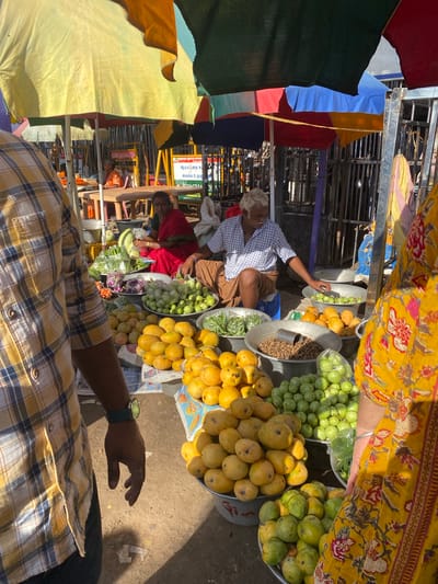 The image depicts an outdoor market scene in Chinnambedu, India, filled with fresh produce. In the foreground, a person wearing a yellow and blue plaid shirt is partially visible, facing away from the camera and towards a display of fruit. To their left, a woman in a red sari is seated behind a table laden with various vegetables, including eggplants and leafy greens. Another individual, an elderly man with white hair, sits on a stool further back, tending to a selection of green fruits and vegetables in metal basins. The market is shaded by colorful umbrellas, predominantly yellow and green, suggesting a sunny day. Various fruits like mangoes and small green fruits, along with vegetables such as tomatoes and beans, are piled high in metal bowls and on newspapers spread on the ground. The backdrop includes metal fencing and structures typical of a local marketplace. The overall atmosphere is that of a bustling, sunlit day at a vibrant produce market.