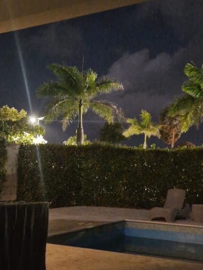 An outdoor nighttime scene in Sosúa, Dominican Republic, features a swimming pool area. A dark, textured object, possibly a planter or bench, is in the foreground to the left. To the right, a lounge chair is positioned near the edge of the pool, which has blue and light-blue tiled accents. A dense, green hedge runs horizontally across the midground, separating the pool area from the background. Several palm trees, illuminated by artificial lights, are visible above the hedge. One prominent palm tree stands in the center, with a slender trunk and fronds reaching upwards. To its left, a cluster of trees with brighter, yellow-tinged foliage is also lit. Further to the right, more palm trees are visible, one with a textured trunk. The sky above is dark with patches of illuminated clouds. A bright light beam, possibly from a streetlamp or security light, streaks across the left side of the image. The overall atmosphere is that of a tropical evening setting.