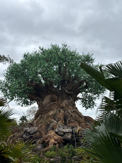 The image displays the "Tree of Life," a colossal artificial tree structure, located within Disney's Animal Kingdom at the Walt Disney World Resort, near Kissimmee, Florida, United States. The tree's massive trunk and intricate root system are carved with numerous detailed animal figures and complex patterns. A dense canopy of green foliage forms the upper portion of the tree. At its base, integrated rockwork features a small waterfall cascading into a dark body of water, visible at the bottom right. The foreground is partially obscured by large, dark green tropical leaves, including identifiable palm fronds. The sky overhead is uniformly overcast with gray clouds, indicating diffused lighting. No individuals are depicted in the scene.