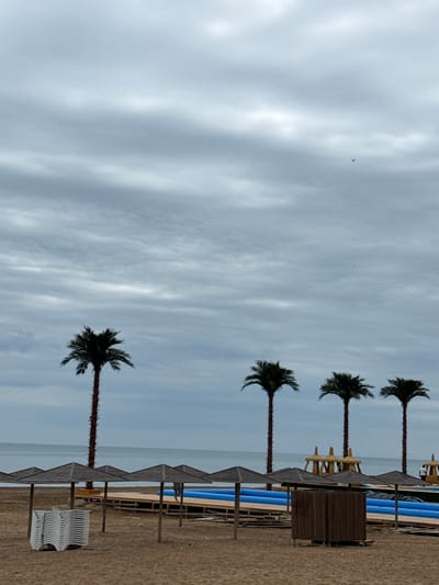 The image shows a beach scene with palm trees, umbrellas, and lounge chairs under a cloudy sky. In the background, the sea is visible. There are also some inflatable structures, possibly for water activities. The location is identified as the city of Derbent, Russia. The scene appears to be set up for a day at the beach, but the overcast weather and the presence of many stacked chairs suggest it might be early in the season or that the beach is not currently in use. There are a few people in the background, but they are not prominently featured. The overall atmosphere is calm and quiet.
