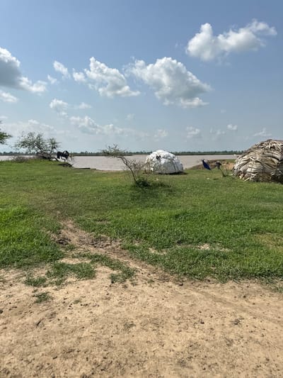 The image depicts a rural scene in Lau, Nigeria. The subjects include two dome-shaped structures, one covered in dried palm leaves and the other wrapped in white sheeting. Several people are visible near the structures, along with what appears to be a blue tarp or piece of fabric. The setting is a grassy area next to a body of water, possibly a river, with a dirt path in the foreground. The sky is bright blue with scattered white clouds, suggesting it is daytime and the weather is clear. The overall impression is one of simple, perhaps temporary, living conditions in a natural environment. There is no visible text in the image.