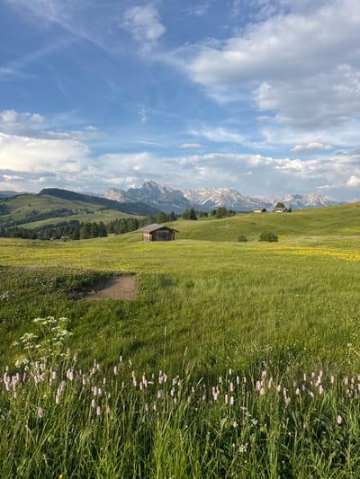 This media file depicts a scenic view of a mountain landscape and a grassy meadow. The scene is oriented vertically, suggesting it might have been captured with a phone held in portrait mode and later rotated.
The main subjects include a vast, rolling green meadow dotted with small yellow wildflowers and patches of taller green grass interspersed with small pink and white flowers. In the mid-ground, there are a few small, rustic wooden structures, possibly shelters or cabins, nestled amongst trees. Beyond the meadow, a dramatic mountain range with rocky, snow-capped peaks stretches across the horizon. The sky above is a vibrant blue, filled with a mix of fluffy white clouds and wispy cirrus formations, indicating fair weather with some cloud cover.
The time of day appears to be late afternoon or early evening, given the quality of the light, which casts soft shadows and highlights the texture of the grass and mountains. The overall atmosphere is serene and peaceful, conveying a sense of natural beauty and tranquility.
While there are no people visible in the image, the presence of the wooden structures suggests human activity in the area, perhaps for recreational or agricultural purposes. There is no visible text in the image. The location context provided, Kastelruth - Castelrotto, Italy, places the scene in the Dolomite region, known for its stunning alpine scenery, which aligns with the visual evidence of the rocky mountain peaks.
