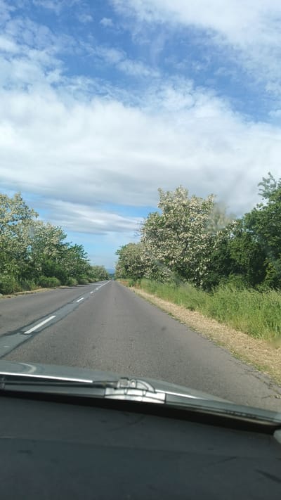 A forward-facing perspective from inside a vehicle traveling along an asphalt road. The road, marked with a solid white line on the left, stretches into the distance under a sky filled with a mix of blue and white clouds. Trees line both sides of the road, some flowering with white blooms. The dashboard and windshield wipers of the car are visible at the bottom of the frame. Based on the location provided, the scene is likely in or near Градина, Bulgaria.