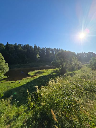A sun-drenched, rural landscape is captured in this vertical, full-frame photograph. The image depicts a serene scene with a body of water reflecting the clear blue sky, bordered by lush green vegetation and a dense forest. The sun, a bright white orb with visible rays, is positioned in the upper right quadrant, casting a warm glow over the scene and creating long shadows on the grassy foreground. The water's edge is lined with tall grasses and wildflowers, adding texture and color to the composition. In the distance, a line of trees forms a dark, verdant backdrop against the bright sky. The image appears to have been taken in the city of Voinskaya Chast' Mchs, Russia, a location known for its natural beauty and tranquil environments.