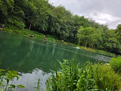 This wide-angle image depicts a body of water, likely a lake or large pond, situated in Connah's Quay, United Kingdom, under an overcast sky. The water, a deep greenish-blue, occupies the lower two-thirds of the frame and displays gentle ripples, reflecting the grey sky and surrounding trees. The far bank is densely forested with mature deciduous trees exhibiting various shades of green foliage, obscuring the horizon line in the upper left. Along the far bank, at least five rectangular wooden platforms or jetties extend into the water.
On the far-left platform, two individuals stand, one wearing dark clothing facing the water. Further right, on a second platform, a single individual sits, appearing to fish. A third platform, centrally located, also features a seated individual, presumably fishing. Behind this platform, a circular red sign with a white border is partially visible. Ducks, numbering at least three, swim on the water in the mid-left portion of the frame. Towards the far-right, another platform is occupied by at least one standing individual. The immediate foreground is dominated by dense, vibrant green vegetation, including tall grasses and broad-leafed plants, some bearing small yellow flowers, partially obscuring the near bank. The sky above the treeline is predominantly grey with visible cloud formations.