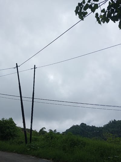 The scene depicts an outdoor environment in Ambakirano, Madagascar, under an overcast sky. Two dark utility poles stand vertically in the left-center, supporting multiple taut black wires that extend horizontally across the frame at varying heights. A narrow strip of dark gray pavement, indicative of a road, is visible along the bottom left. The lower half of the image is dominated by lush, green, overgrown grasses and shrubs. In the background, to the right, densely forested hills rise under the muted light of the cloudy sky. A cluster of dark green leaves from a tree branch is partially visible in the upper right corner. No individuals or discernible actions are present.