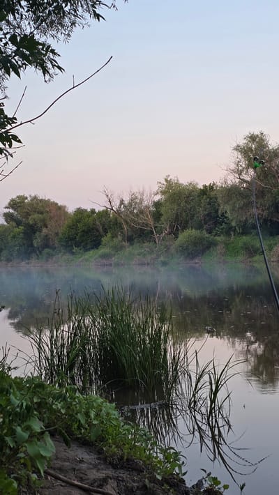 The image depicts a serene natural scene at the bank of a calm river, likely in or near Krugloozernoe, Kazakhstan. In the foreground, the muddy bank is covered with lush green vegetation and tall reeds growing out of the water. The river itself is dark and reflective, mirroring the trees and vegetation that line the opposite bank. A light mist hovers just above the water's surface, adding to the tranquil atmosphere. The background is dominated by a dense line of trees and shrubs, their foliage varied in shades of green. The sky above is a soft gradient of pale blue and pink, suggesting either early morning or late evening light. A fishing rod is visible on the right side of the frame, its tip extending into the upper portion of the image, indicating that someone is likely fishing. There are no people visible in the image, only the signs of their presence through the fishing equipment. The overall impression is one of peaceful solitude in a natural environment.