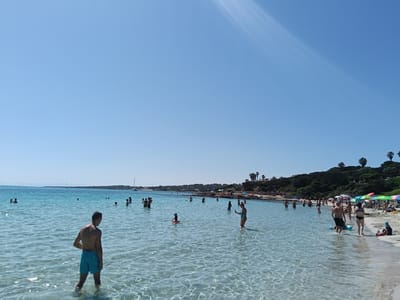 This is a wide shot of a sunny beach in Stintino, Italy. The clear, turquoise water is shallow and the sandy seabed is visible. Several people are scattered throughout the water, swimming and standing. In the foreground, a man in blue swim trunks stands facing away from the camera, looking out at the sea. Further back, a woman in a blue swimsuit is taking a photo with her phone. Along the shoreline, a group of people relax under colorful umbrellas. The background features a green, hilly coastline with palm trees and some buildings. The sky is a clear, bright blue.