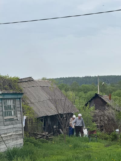 The image shows a rural scene in Ленино, Russia. In the foreground, there's an aged, wooden shack with a barred window and a decaying corrugated roof overgrown with vegetation. Adjacent to it, a dilapidated wooden structure appears partially collapsed. Two elderly individuals are discernible amidst the overgrowth and next to a partially dilapidated house, possibly working on or interacting with something not fully visible. Tall grass and greenery fill the right side of the frame. In the background, a dense forest stretches towards the horizon under a cloudy sky. A power line is visible on the left side of the frame.