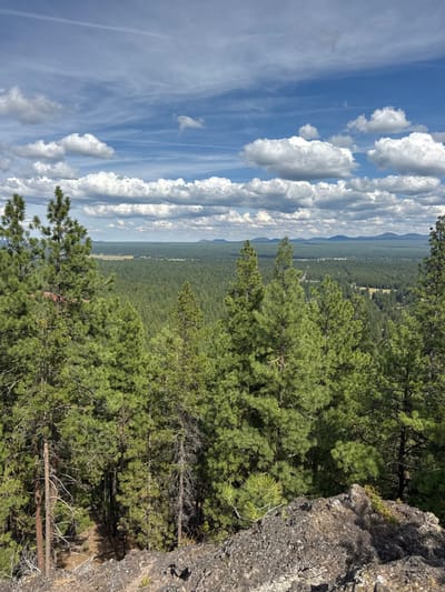 This image presents an elevated, panoramic outdoor scene, identified as being located in Three Rivers, United States. The immediate foreground consists of dark, textured rock formations, indicative of a cliff or elevated natural overlook. Beyond this rocky edge, a dense, vast coniferous forest dominates the midground and extends to the distant horizon. The forest is composed primarily of various shades of green evergreen trees, appearing uniform due to their density. In the far background, a series of low, undulating mountains or hills are discernible against the sky. The sky occupies the upper portion of the frame, displaying a bright blue color with scattered white cumulus clouds of varying sizes and shapes. Faint, wispy high-altitude clouds are also present, with one distinct linear contrail visible in the upper left area of the sky. No human figures, specific actions, or man-made structures are present within the observable natural environment.