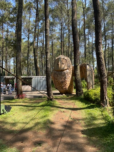 This image captures an outdoor scene in Cikole, Indonesia, within a dense pine forest under a clear blue sky. A dirt path with patches of green grass and scattered pine needles runs through the center of the frame.

On the left side of the path, a converted grey shipping container structure, functioning as a building with open windows/entrances, is visible. Approximately five to seven individuals, dressed in casual clothing, are gathered around white outdoor chairs near this structure, appearing to interact or observe. Red ornamental foliage is planted in front of the container.

Dominating the mid-ground on the right side of the path is a large, stylized owl sculpture crafted from numerous small, light-colored wooden shingles, exhibiting clear facial features and a prominent wing extending to the right. A small spotlight is mounted on a pine tree trunk positioned between the owl sculpture and the container building.

Several thick ropes or cables are stretched diagonally across the path, secured to the trunks of two prominent pine trees in the foreground. The forest canopy of tall, slender pine trees extends into the background, creating a sense of depth. The scene is brightly lit by direct sunlight, casting distinct shadows on the ground.