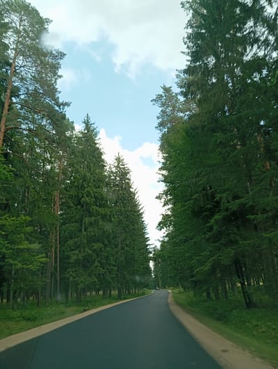 The image shows a paved road winding through a dense forest in Serwy, Poland. Tall evergreen trees line both sides of the road, creating a natural canopy. The sky above is partly cloudy, with patches of blue visible. A single motorcycle is seen in the distance, heading down the road. The road appears to be in good condition, with a light-colored shoulder on the right side. The surrounding environment is lush and green, suggesting a rural or natural setting.